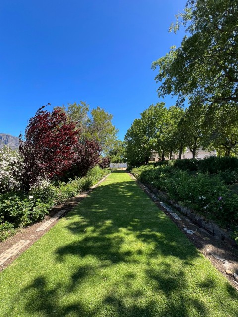 a lush green field with trees and bushes