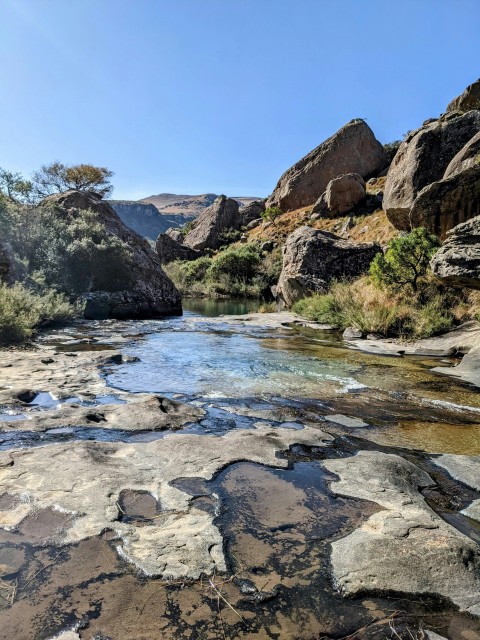 a river with rocks and plants