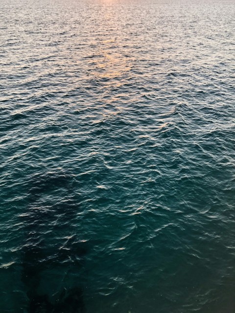 body of water during daytime