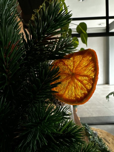 an orange cut in half sitting on top of a tree