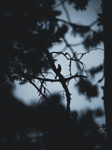 a bird is sitting on a tree branch