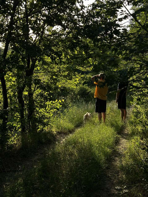 a couple of people walking down a dirt road jpE8Wby