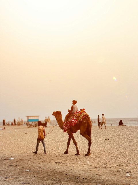 a man is walking a camel on the beach