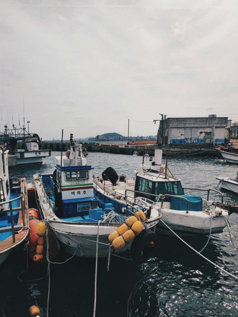 a group of boats that are sitting in the water