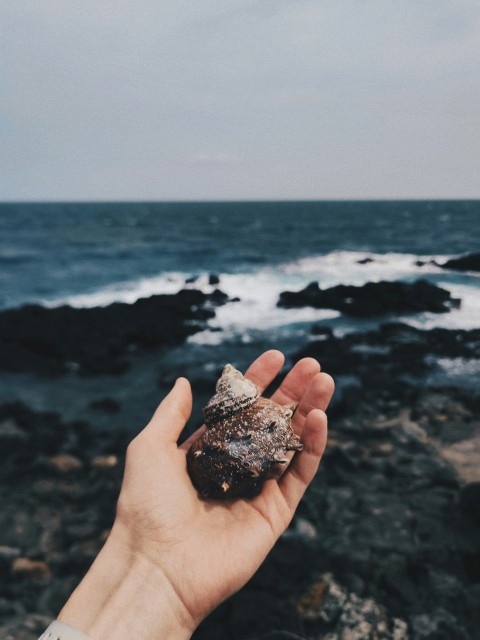 a hand holding a rock near the ocean