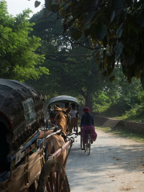 a horse pulling a carriage down a dirt road