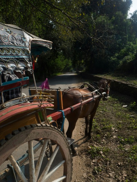 a horse drawn carriage on a dirt road