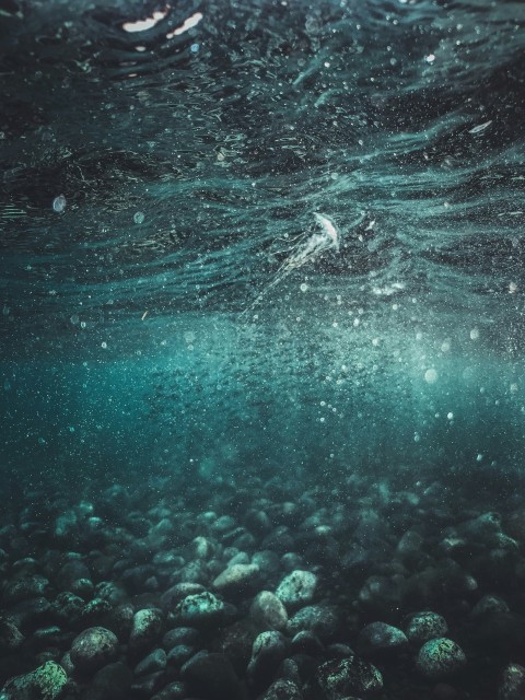 a large amount of rocks under water