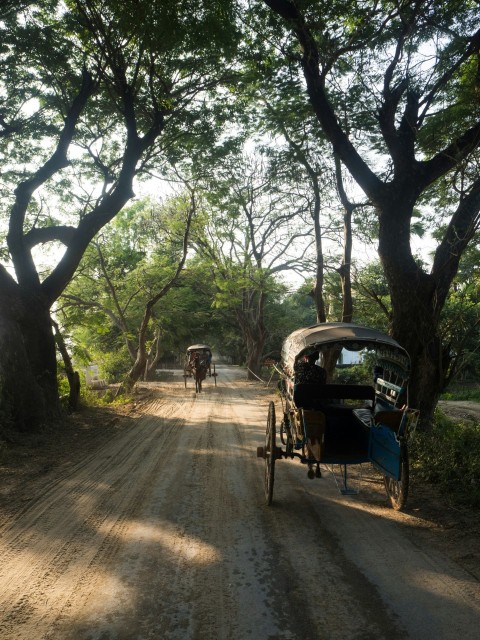 a horse drawn carriage traveling down a dirt road k11F