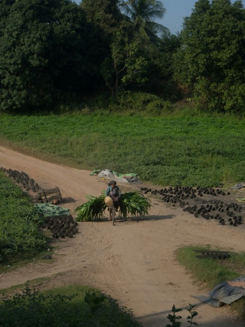 a man riding a horse down a dirt road