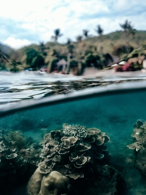 an underwater view of a coral reef with a house in the background c6OiSHgJ