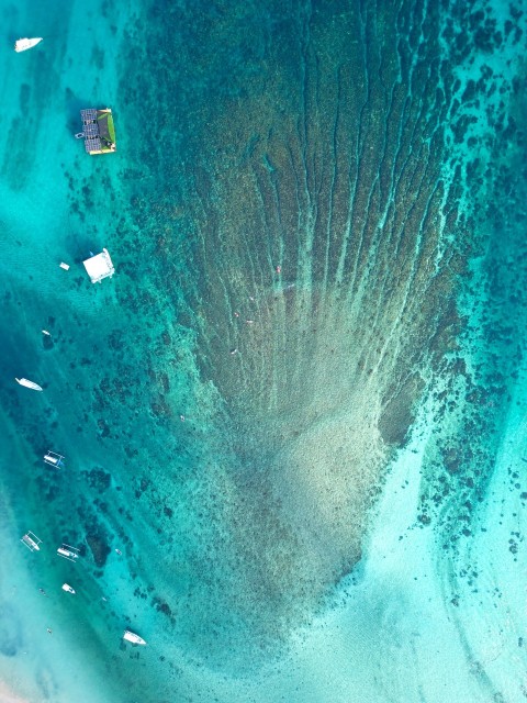 an aerial view of a sandy beach and ocean