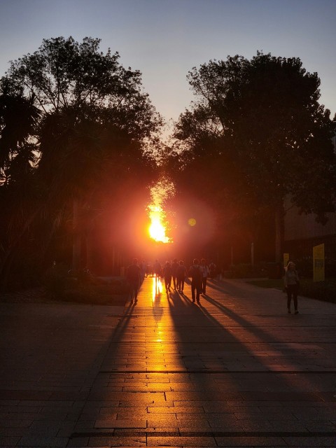 a group of people walking down a street at sunset