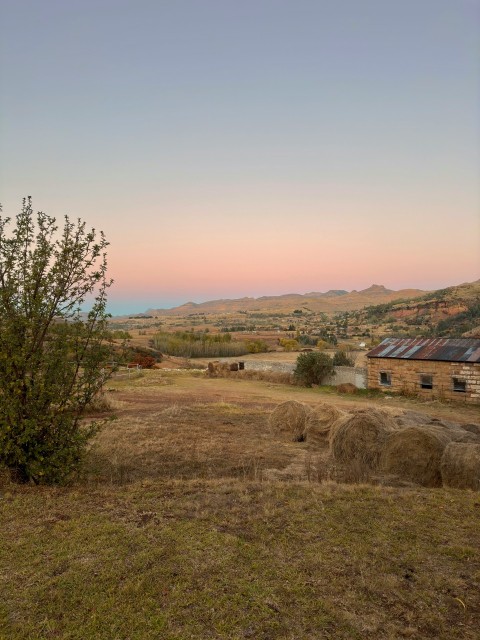 a grassy field with a tree and a building in the background