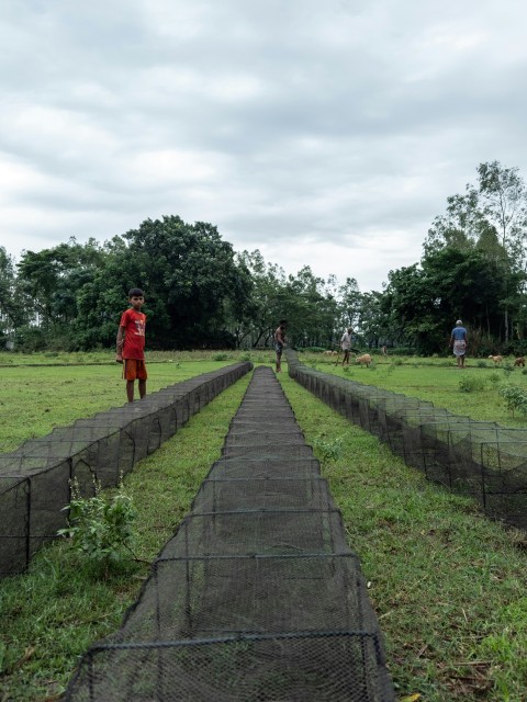 a man in a red shirt is standing in a field