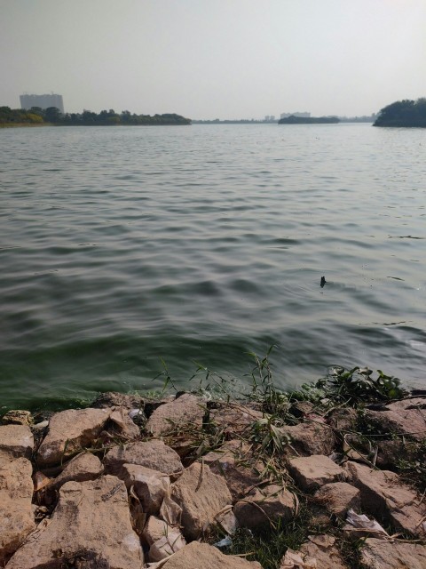 a body of water surrounded by rocks and grass