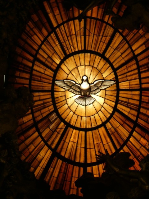 a stained glass window with a dove on it