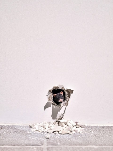 a broken umbrella sitting on top of a pile of rubble