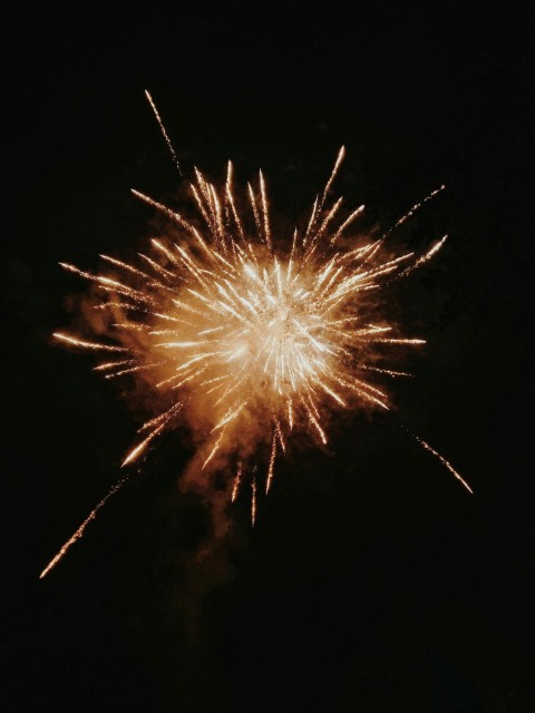 fireworks display