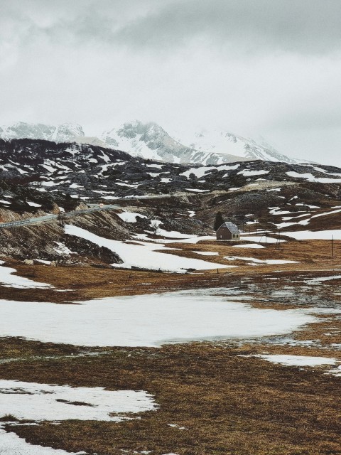 a small house in a snowy landscape