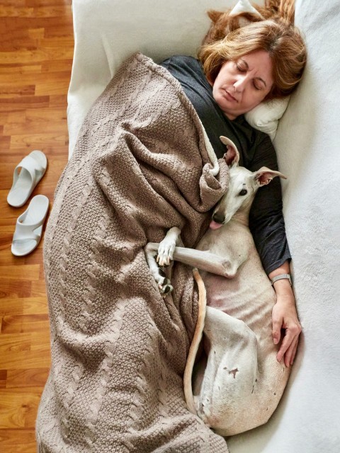 white short coated small sized dog on woman in gray sweater