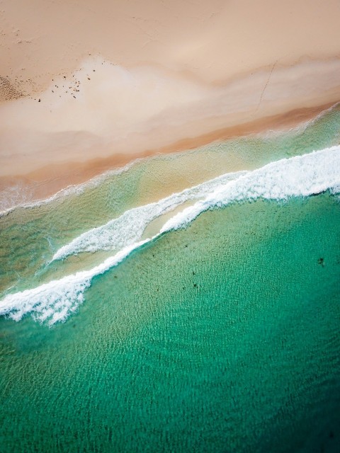 an aerial view of a beach and ocean