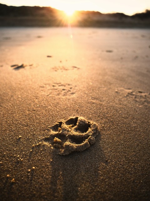 a smiley face drawn in the sand on a beach