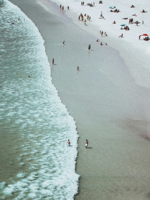 aerial photography of people on white sand beach aq