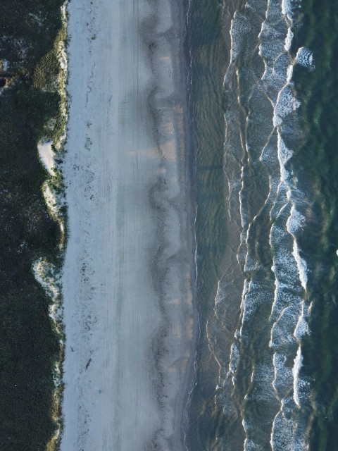 aerial view of green trees and body of water during daytime 9ciJaSr6