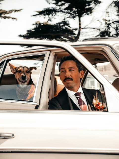 man in black suit jacket and white dress shirt in car j