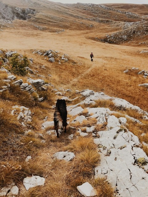 person walking on mountain path