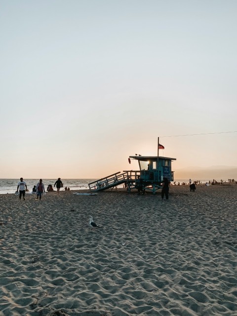 people on beach