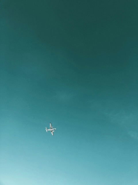 airliner on flight