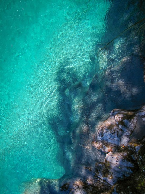 a body of water surrounded by trees and rocks