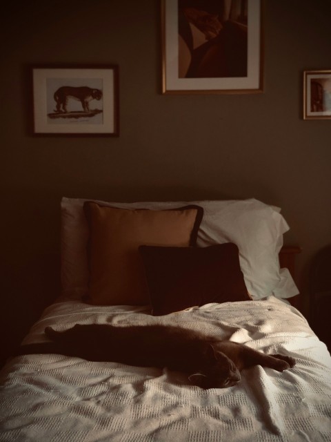 black throw pillow on brown sofa