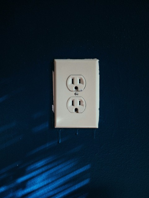 white 2 slot plug mounted on blue wall s0FBvCk9