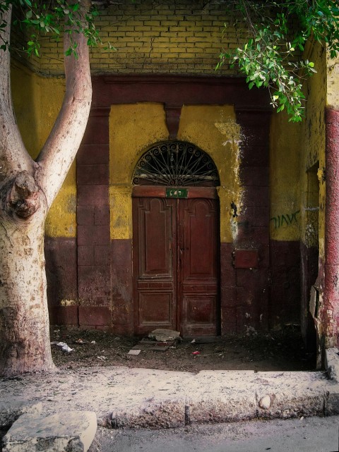 an old building with a door and a tree in front of it