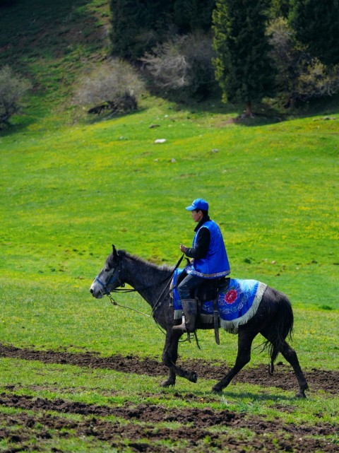 a man riding on the back of a black horse