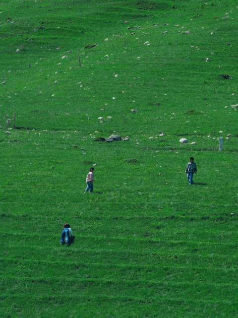 a group of people walking across a lush green field