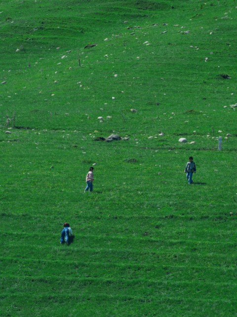 a group of people walking across a lush green field