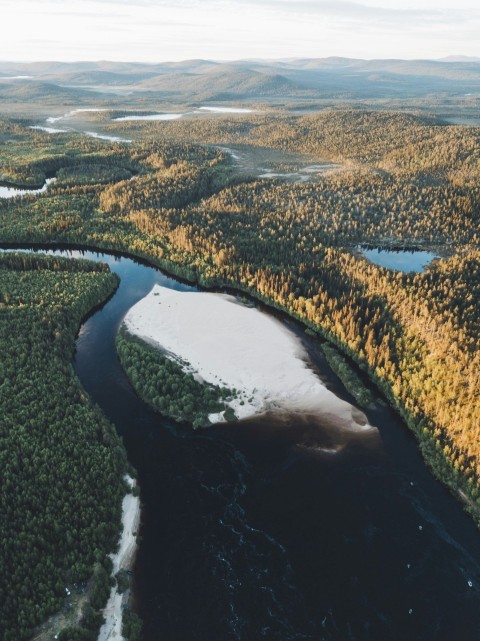 aerial photography of trees EBmi