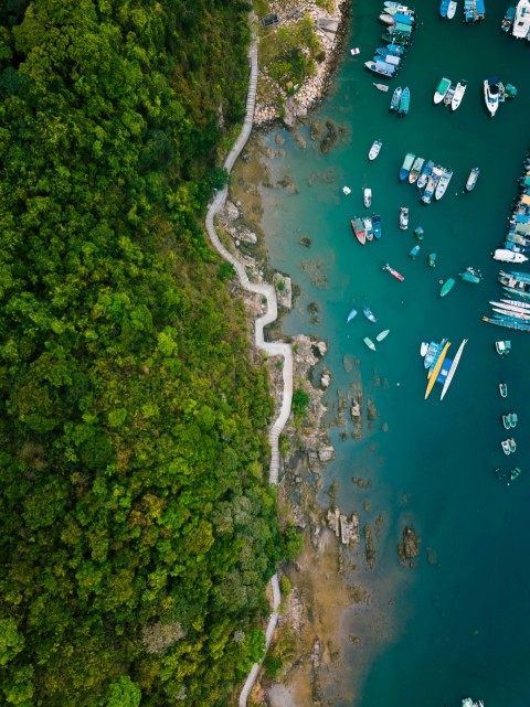 birds eye view of shore with boats