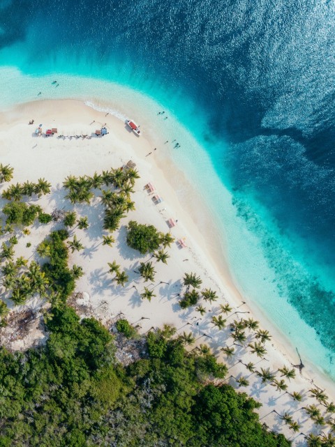 people on beach island during daytime