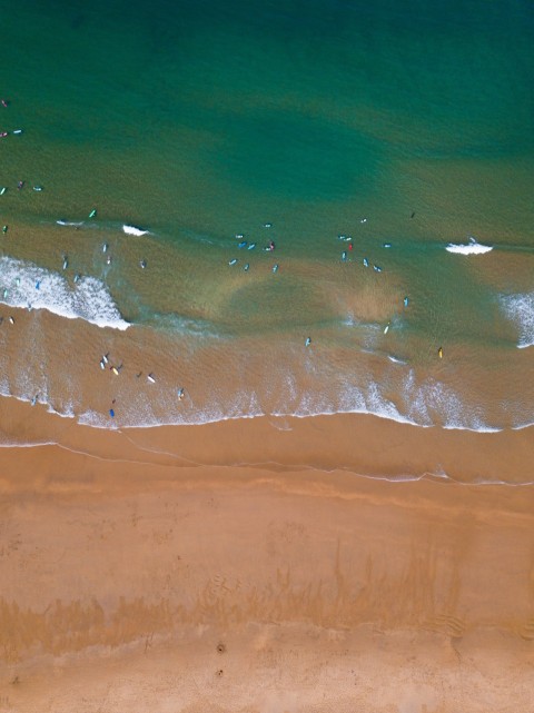 a group of people swimming in the ocean