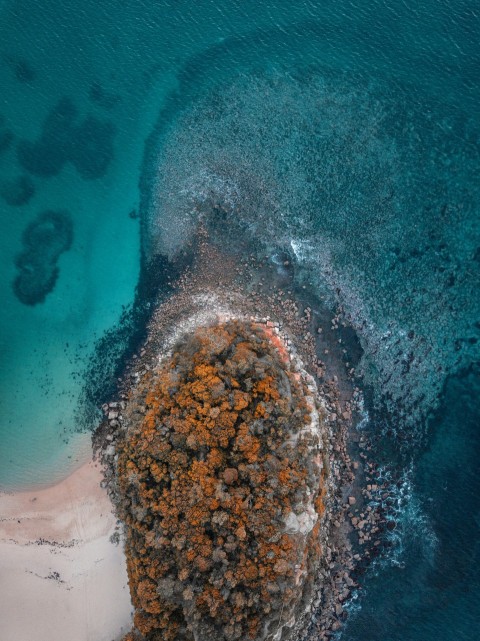 birds eye view photo rocks near seashore