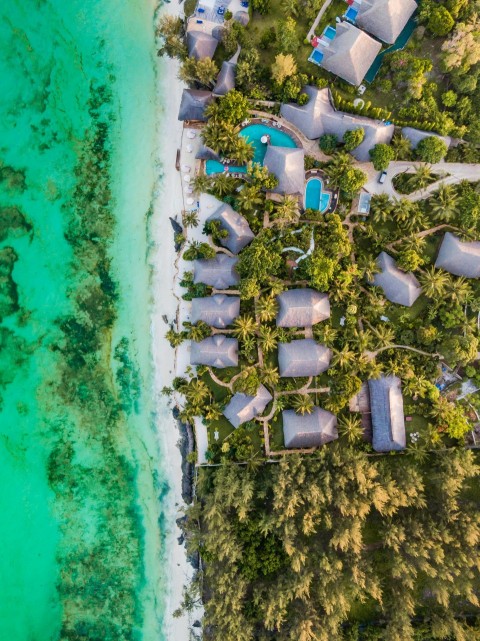 aerial photography of trees and houses near body of water