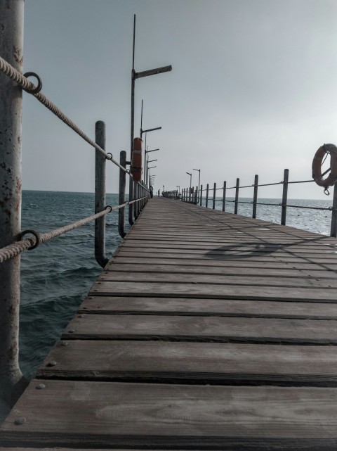 brown wooden dock on sea during daytime