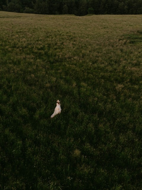 a white bird sitting on top of a lush green field J7UvX