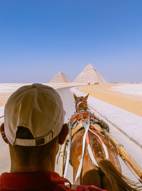 man riding horse during daytime