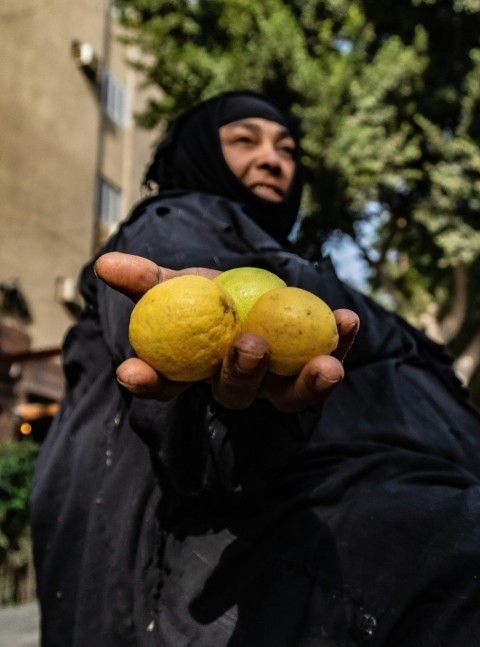 a person holding a bunch of fruit